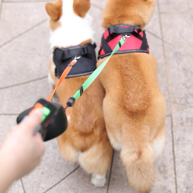 2-in-1 Tangle-Free Dog Leash with Touch Light &amp; Poop Bag Dispenser